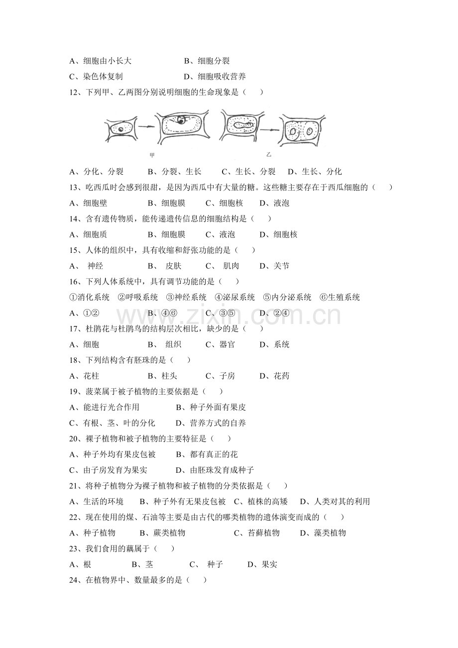 《第1节-生物体的基本结构》同步练习1.doc_第2页