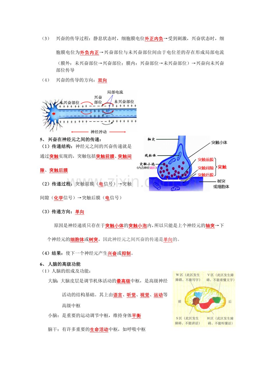 第二节 人体生命活动的调节.doc_第2页