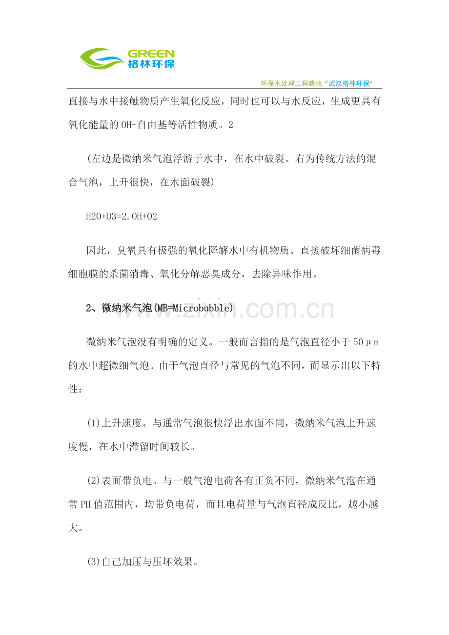 臭氧水处理技术及其应用.docx_第2页
