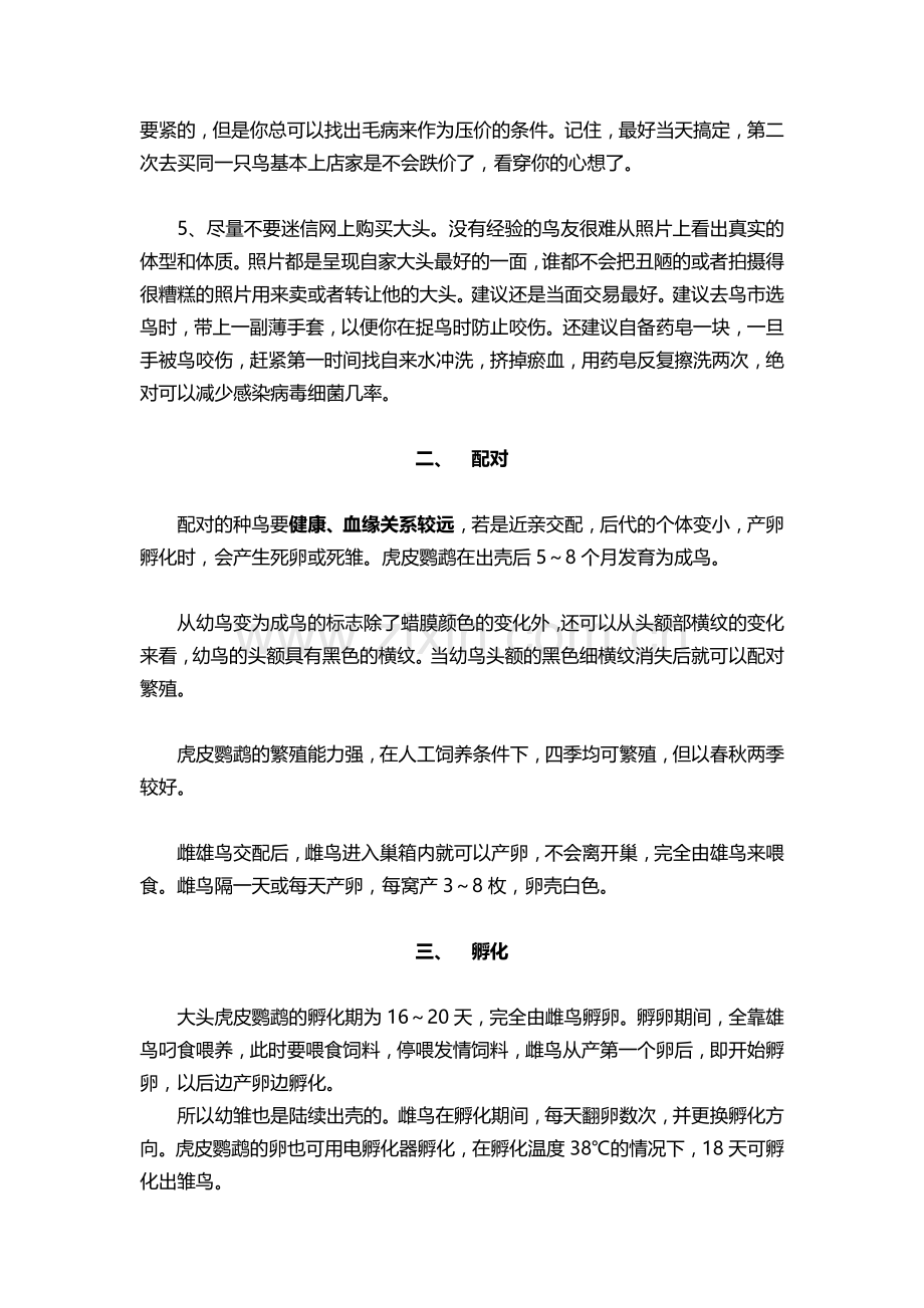 大头虎皮鹦鹉的繁殖.doc_第2页