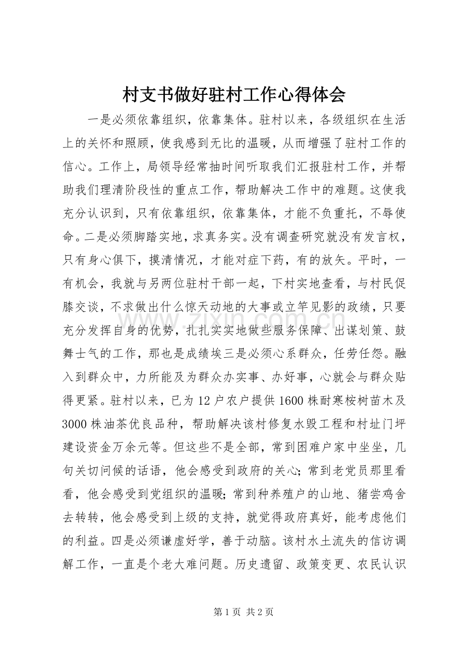 村支书做好驻村工作心得体会.docx_第1页