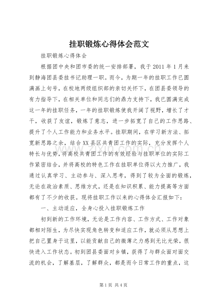 挂职锻炼心得体会范文.docx_第1页