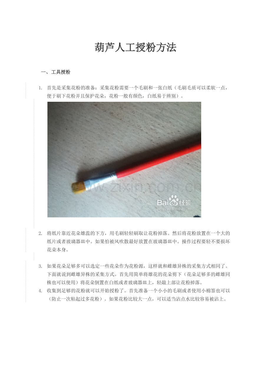 葫芦人工授粉.docx_第1页