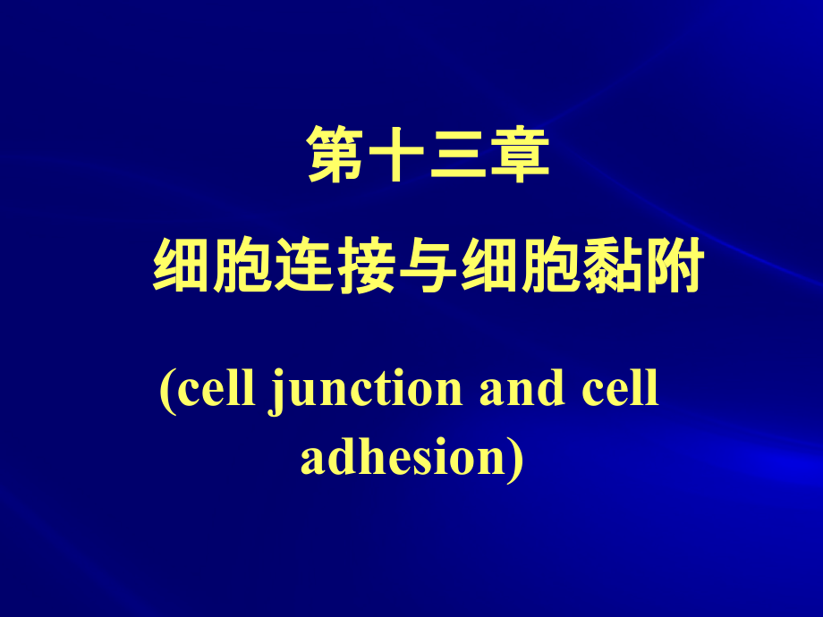 第十三章 细胞连接与细胞黏(徐晋).ppt_第1页