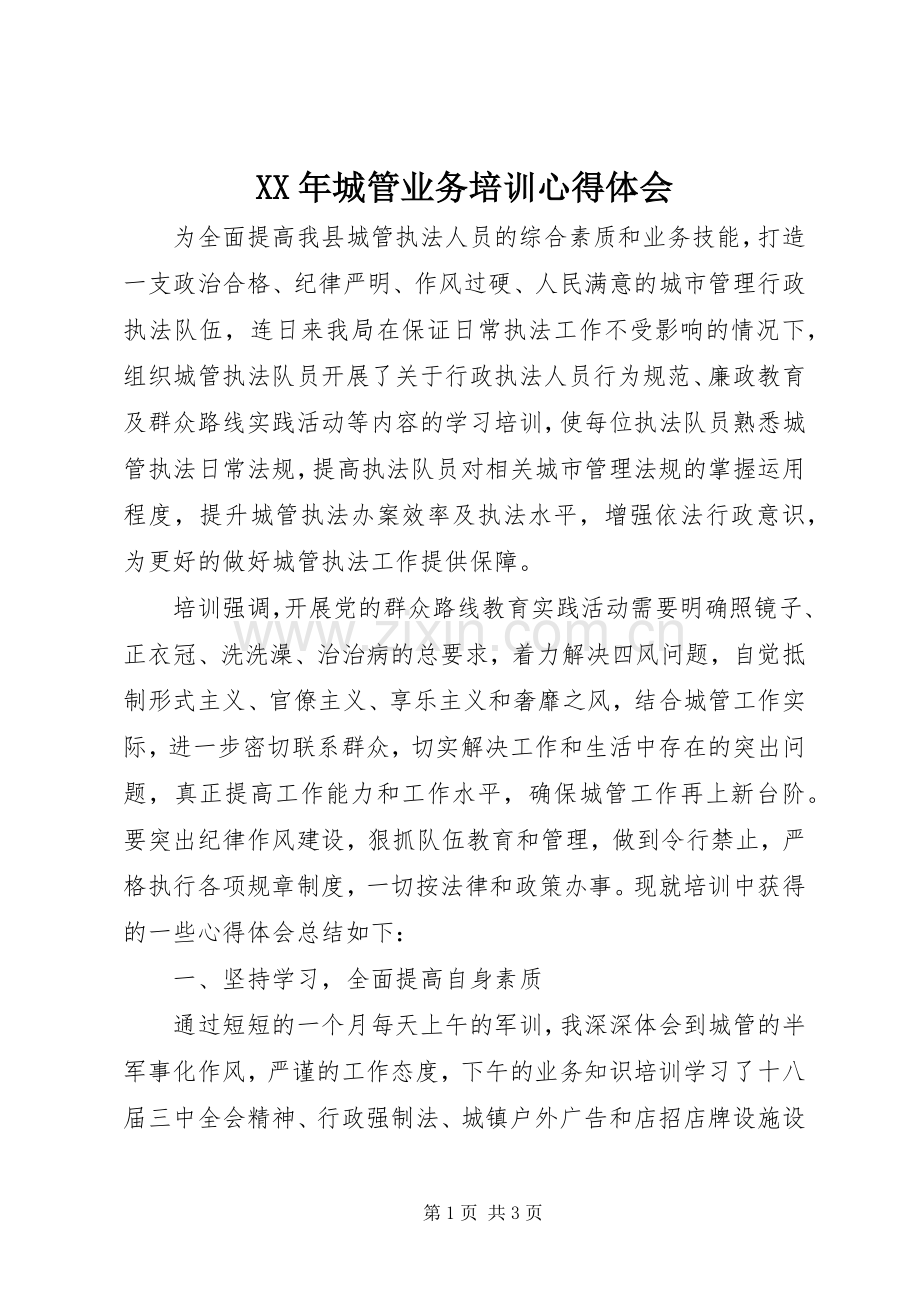 XX年城管业务培训心得体会.docx_第1页