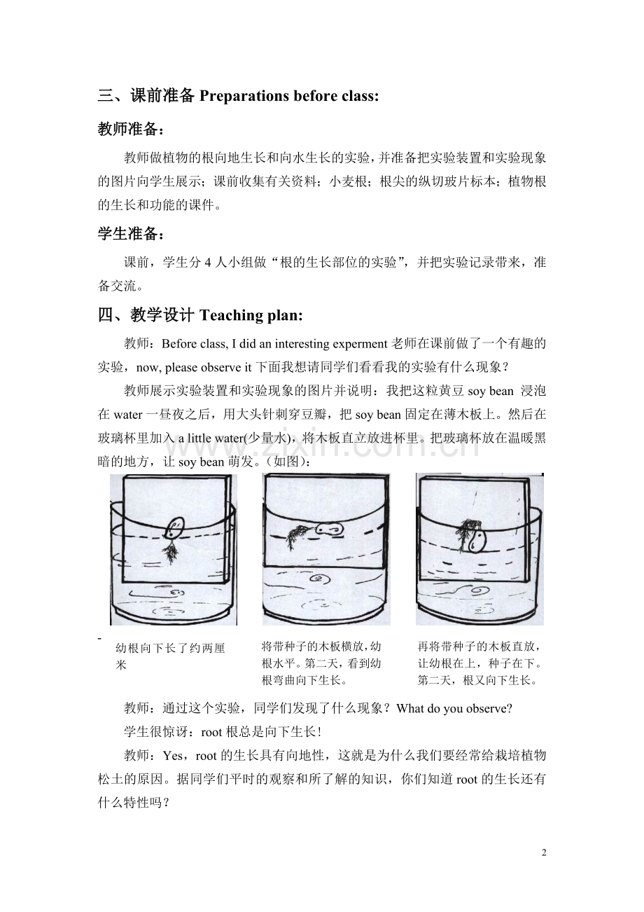 (案例)植物根的生长.doc_第2页