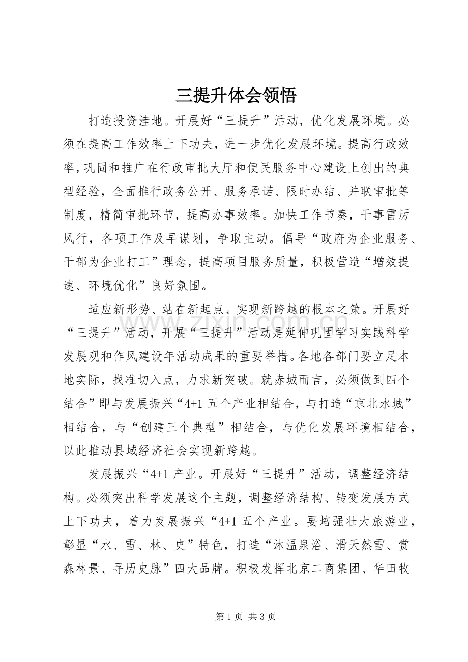 三提升体会领悟.docx_第1页