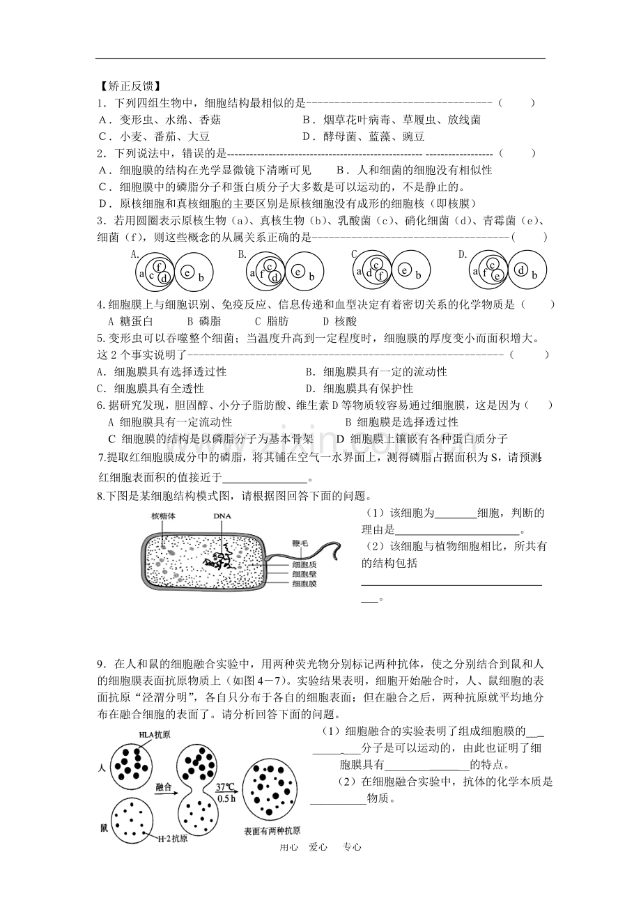高一生物原核细胞和真核细胞-苏教版.doc_第2页