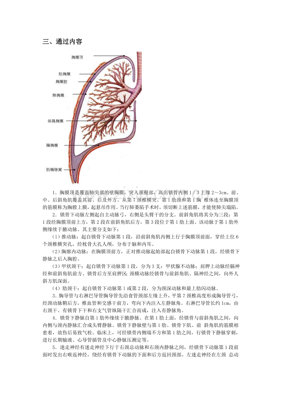 胸膜上膜Microsoft Word 文档.doc_第2页