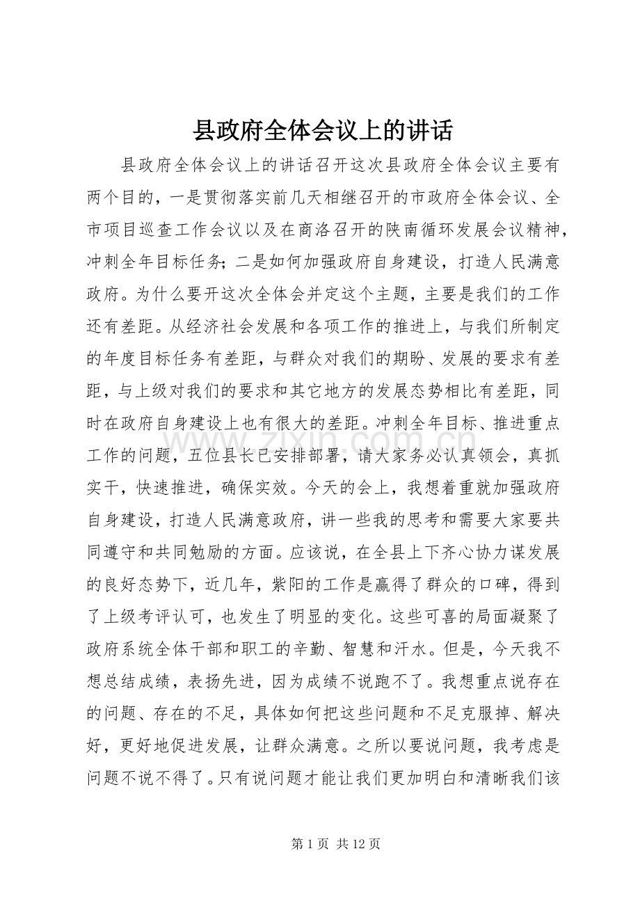 县政府全体会议上的讲话.docx_第1页