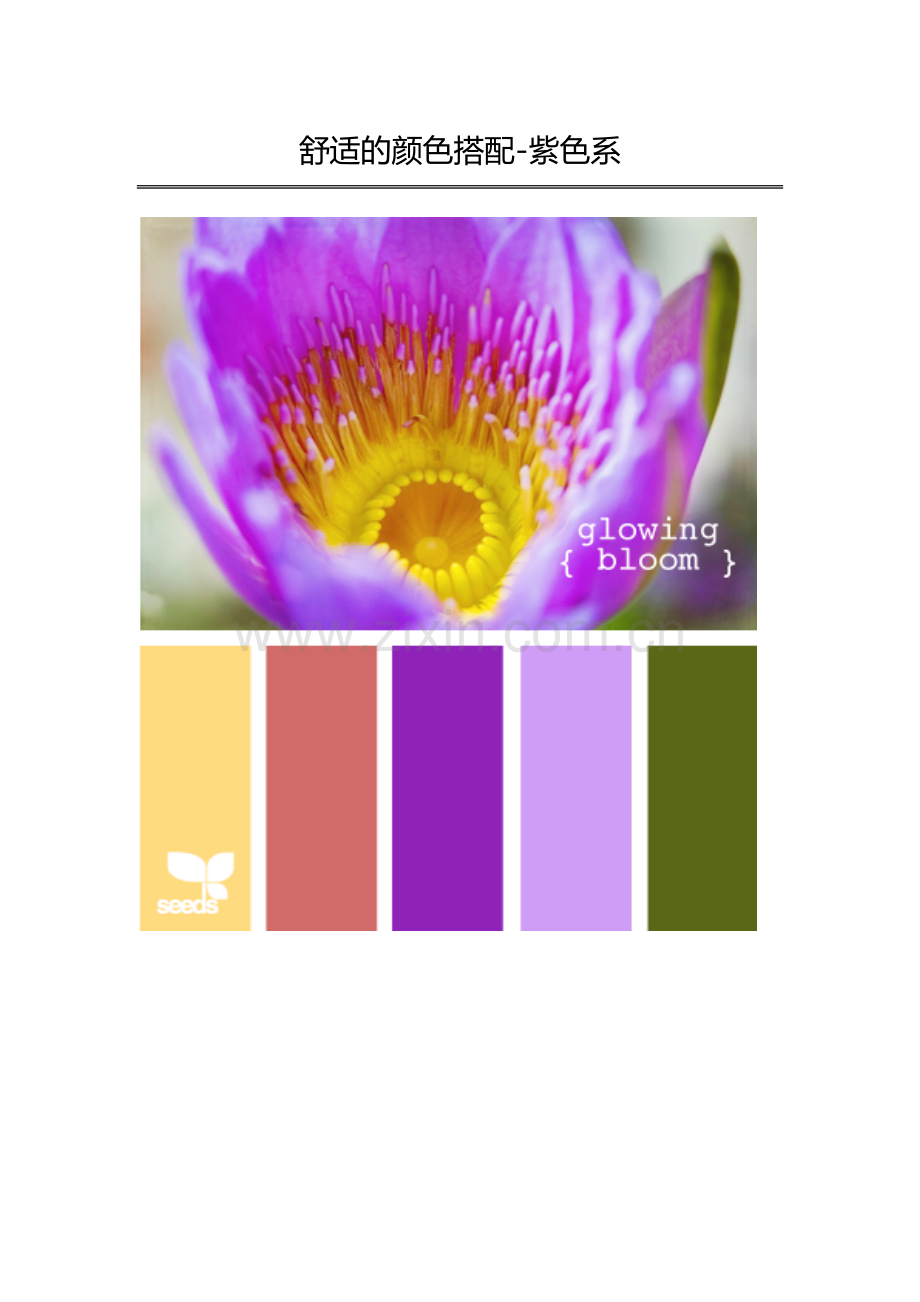 舒适的颜色搭配-紫色系.doc_第1页