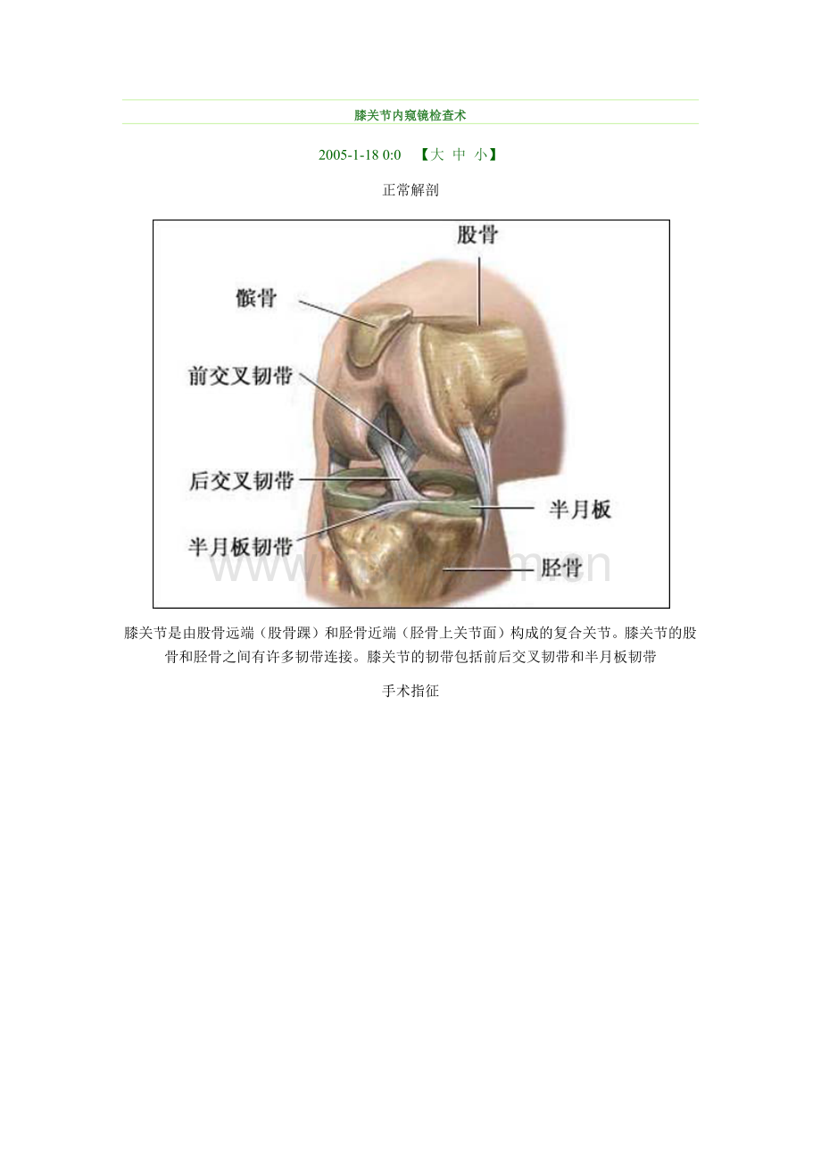 膝关节内窥镜检查术.docx_第1页