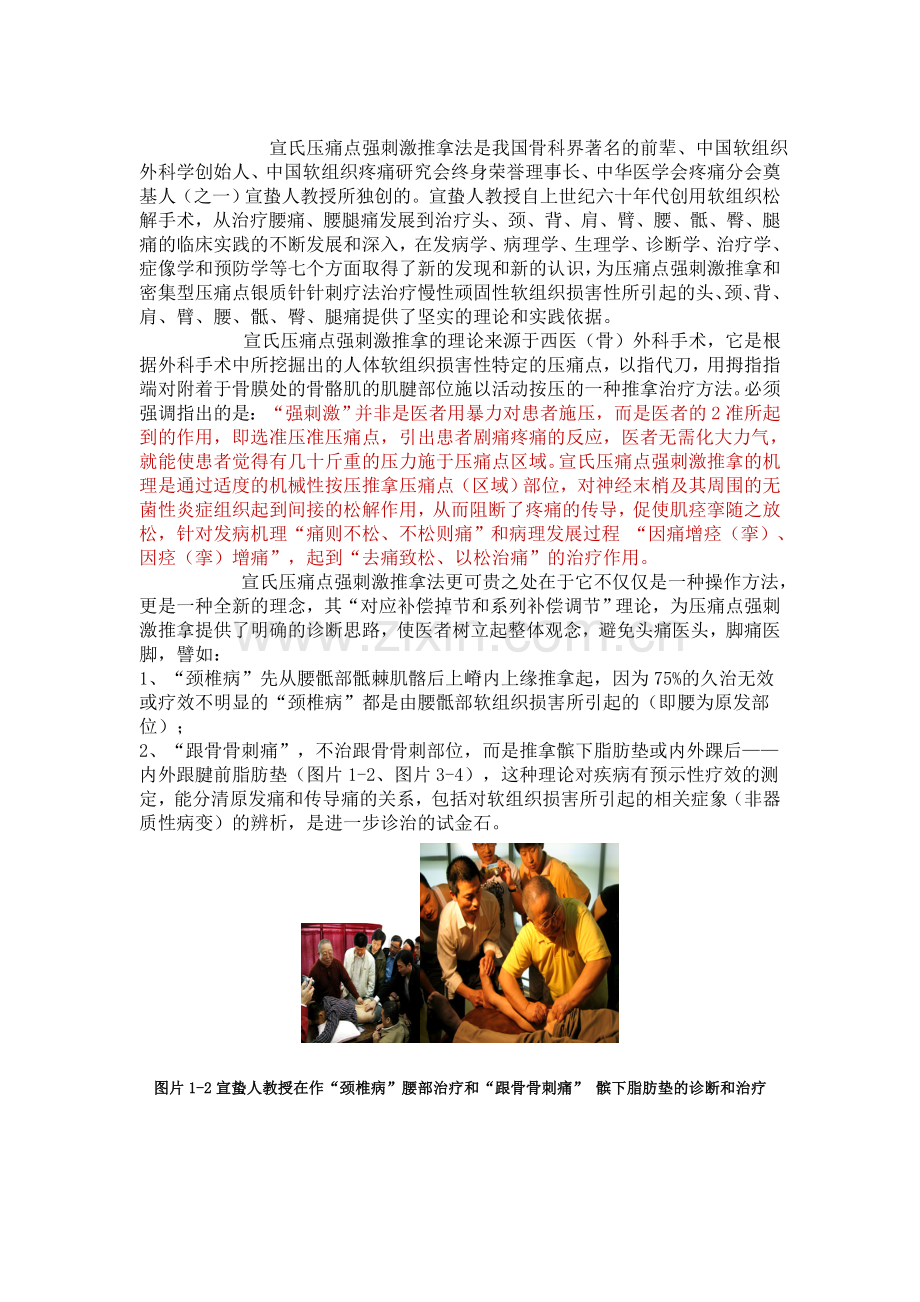 [转] 推拿流派中的一朵奇葩——宣氏压痛点强刺激推拿法.doc_第1页