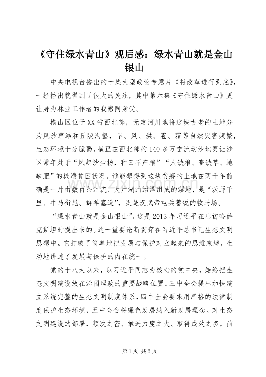 《守住绿水青山》观后感：绿水青山就是金山银山.docx_第1页