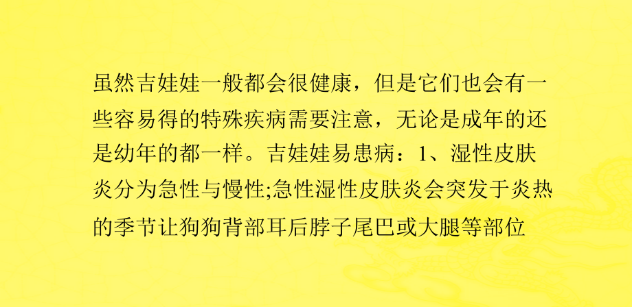 吉娃娃常见病及必备物品.pptx_第1页