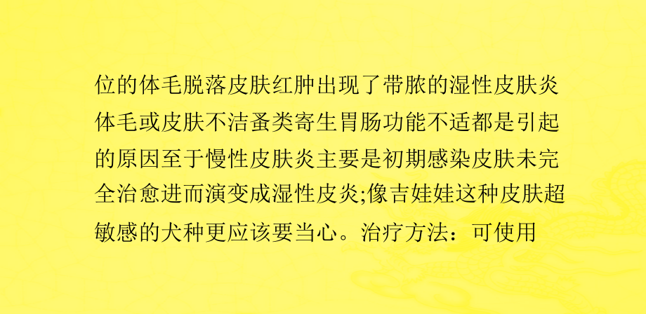 吉娃娃常见病及必备物品.pptx_第2页