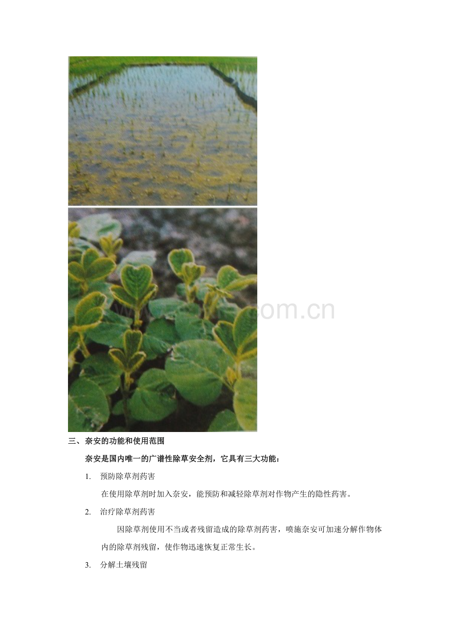 除草剂药害防治及治理.doc_第2页