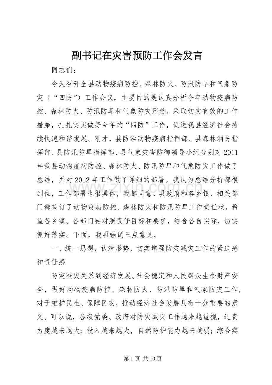 副书记在灾害预防工作会发言.docx_第1页
