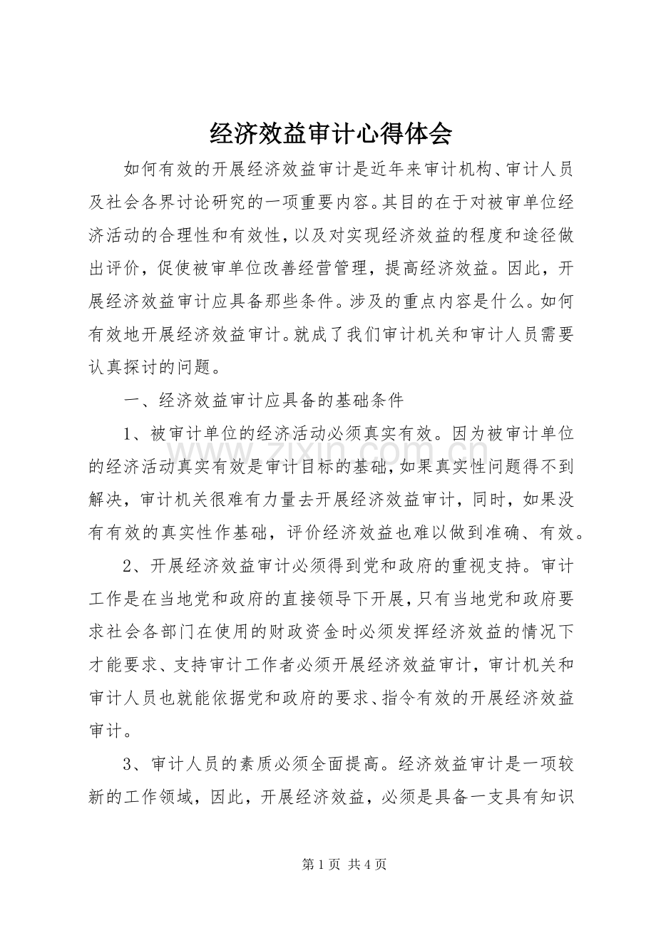 经济效益审计心得体会.docx_第1页