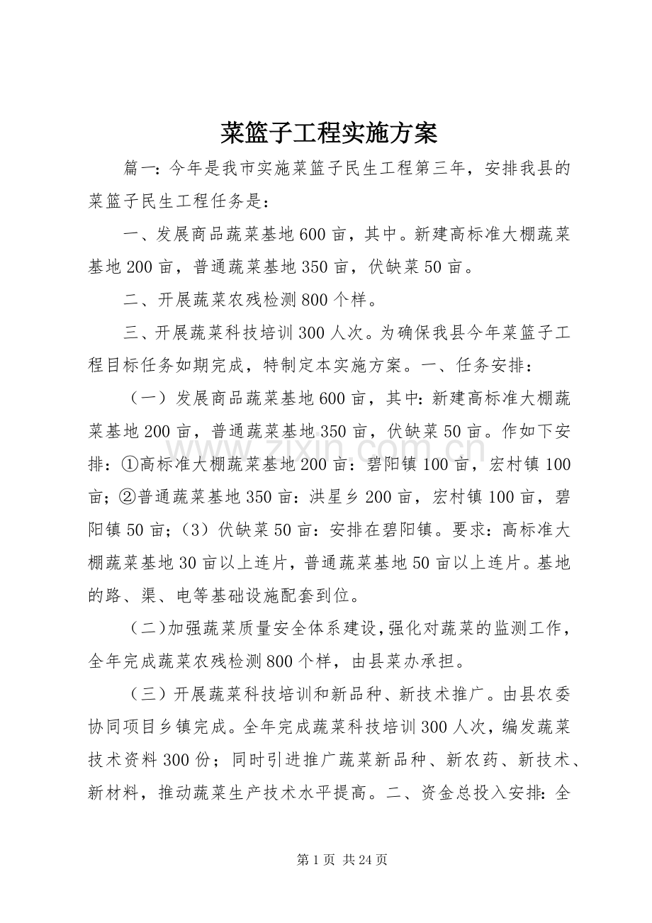 菜篮子工程方案.docx_第1页