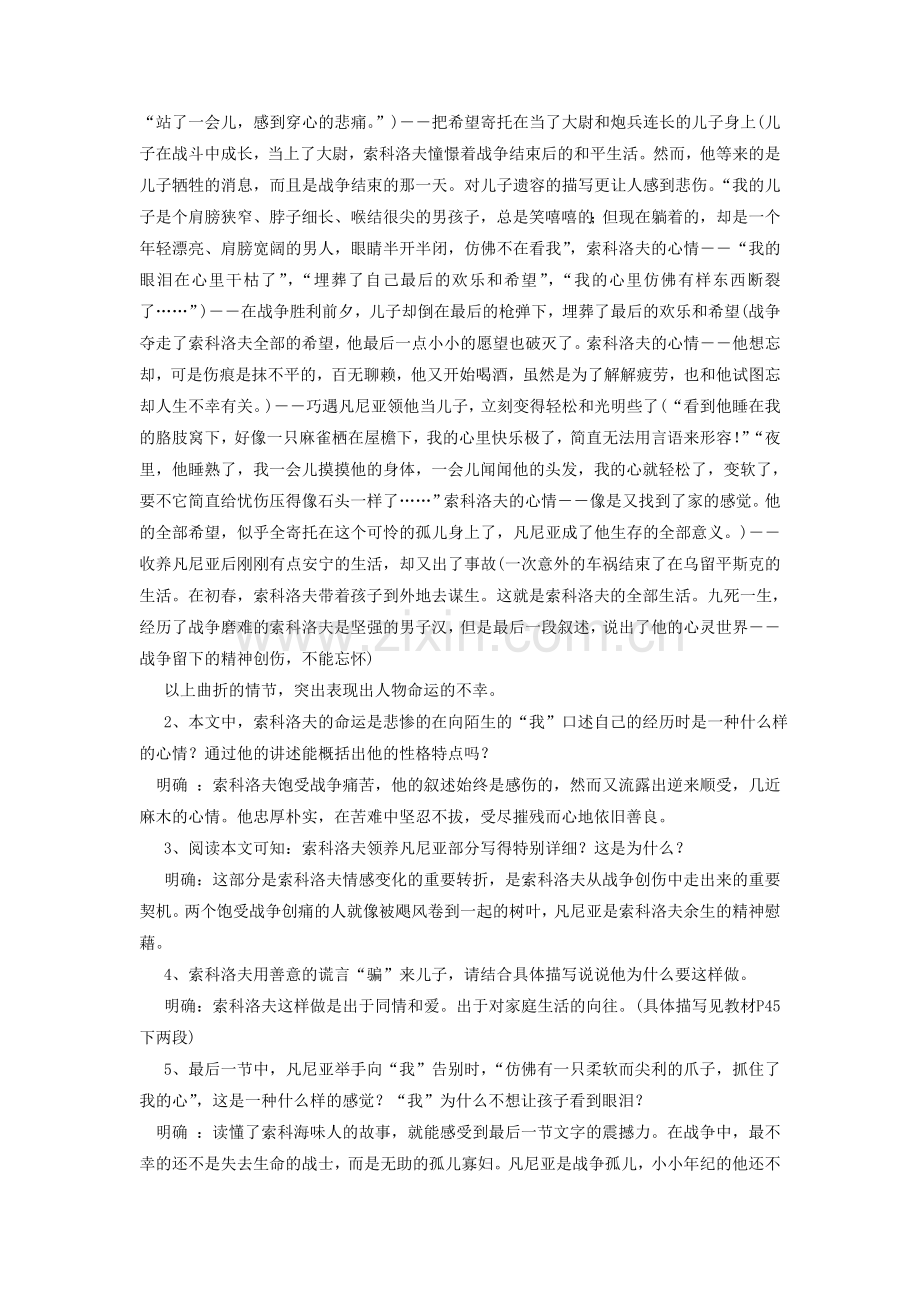 《一个人的遭遇》教学设计3.doc_第2页