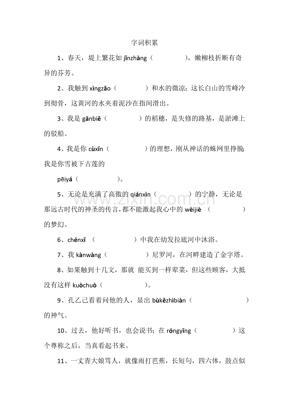 字词积累总复习.docx_第1页