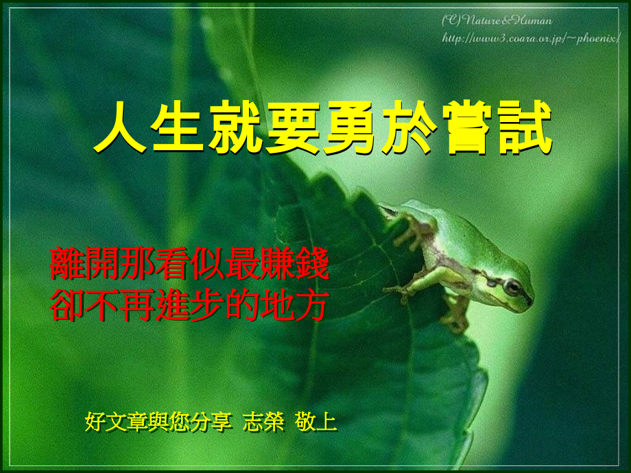 人生要勇於尝试.pps_第1页