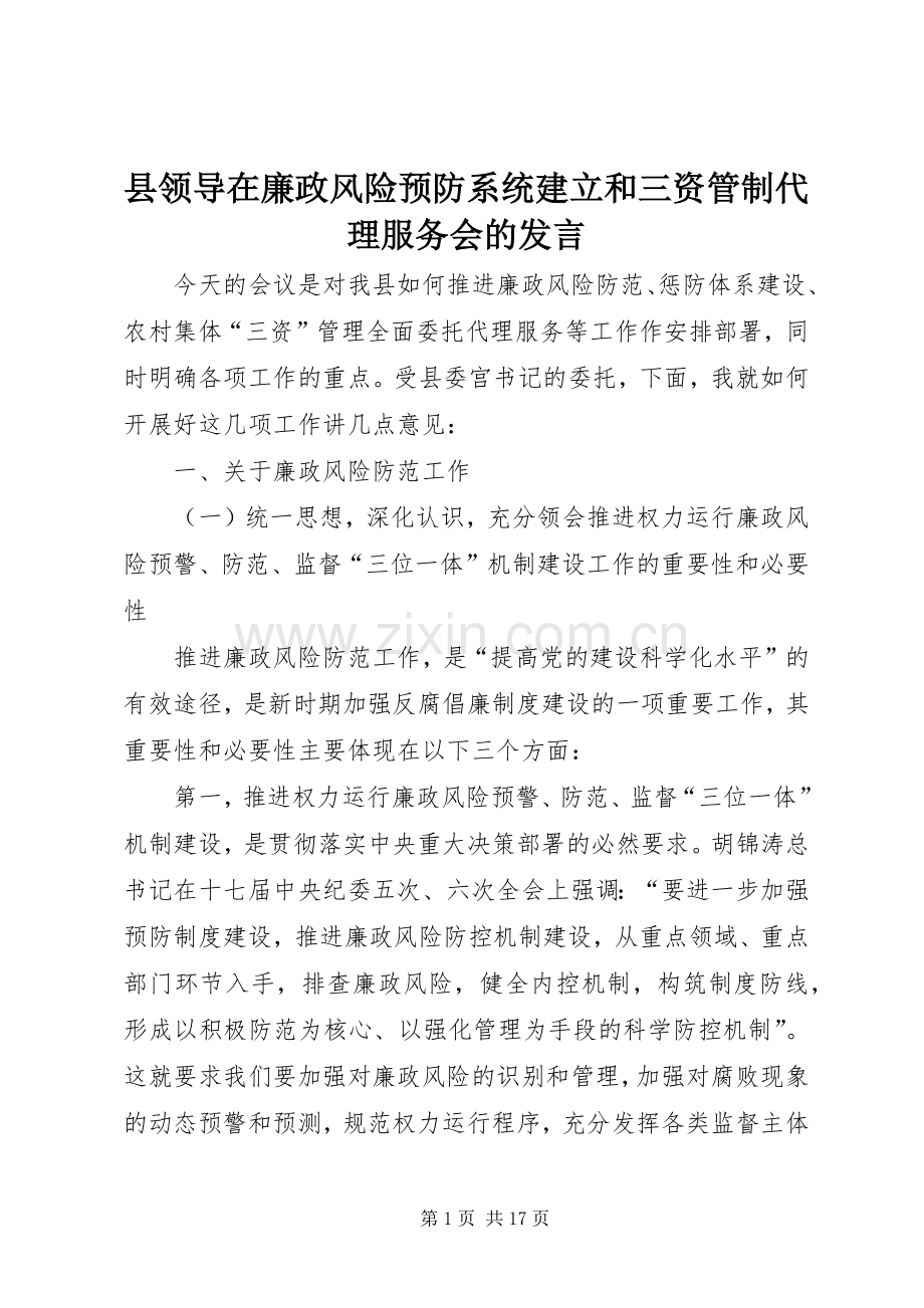 县领导在廉政风险预防系统建立和三资管制代理服务会的发言.docx_第1页
