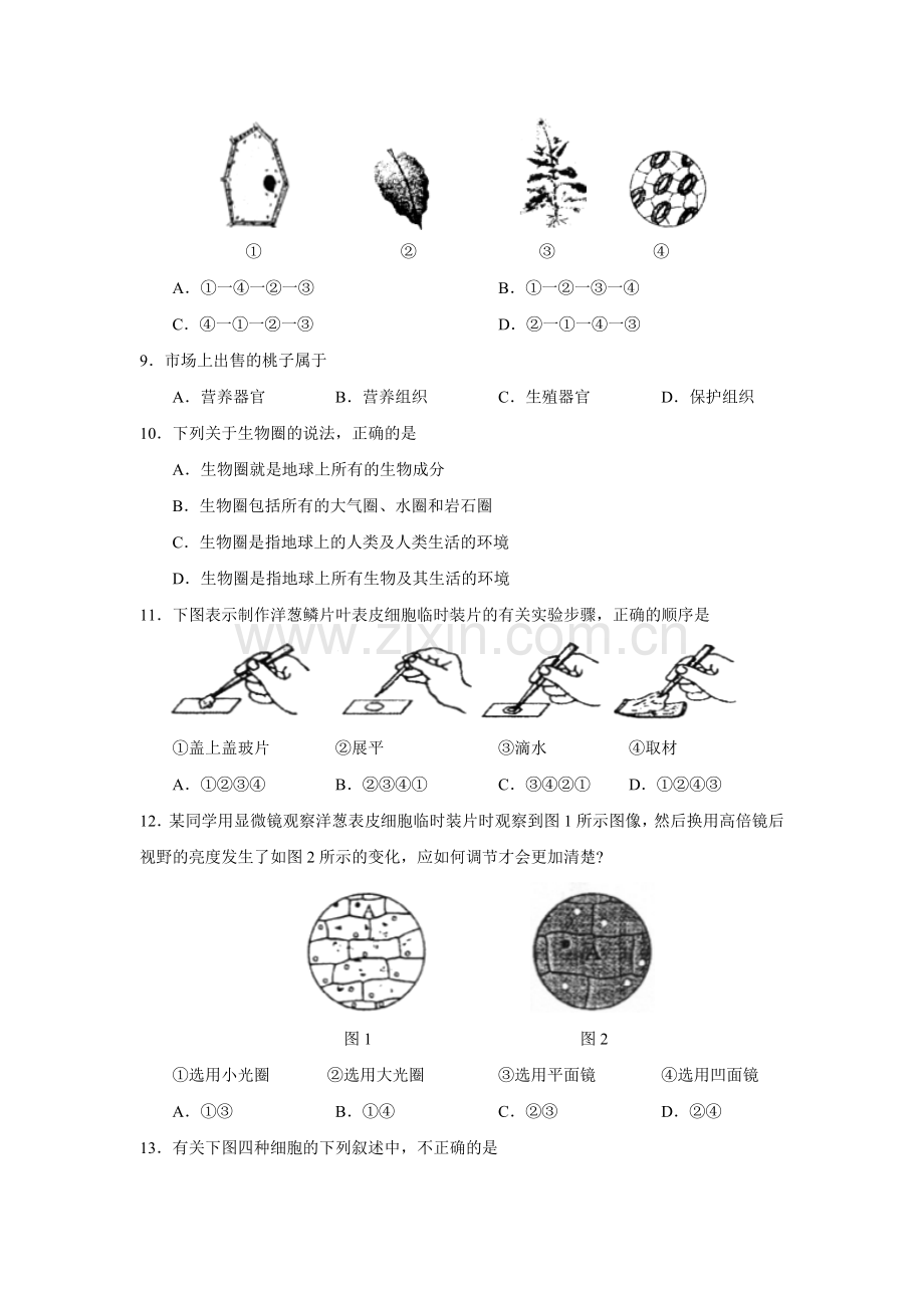 初一生物期中试题 (4).doc_第2页