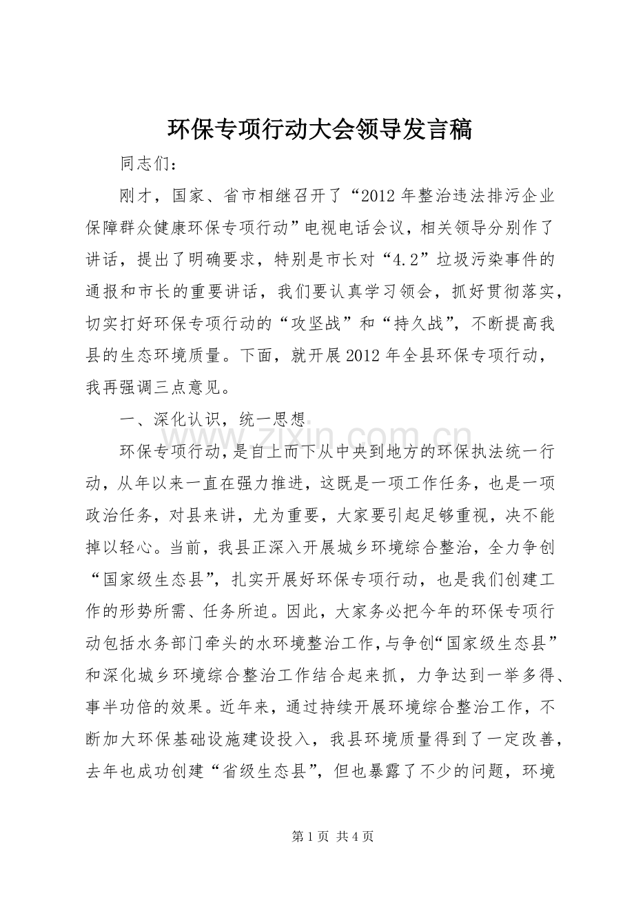 环保专项行动大会领导发言稿.docx_第1页