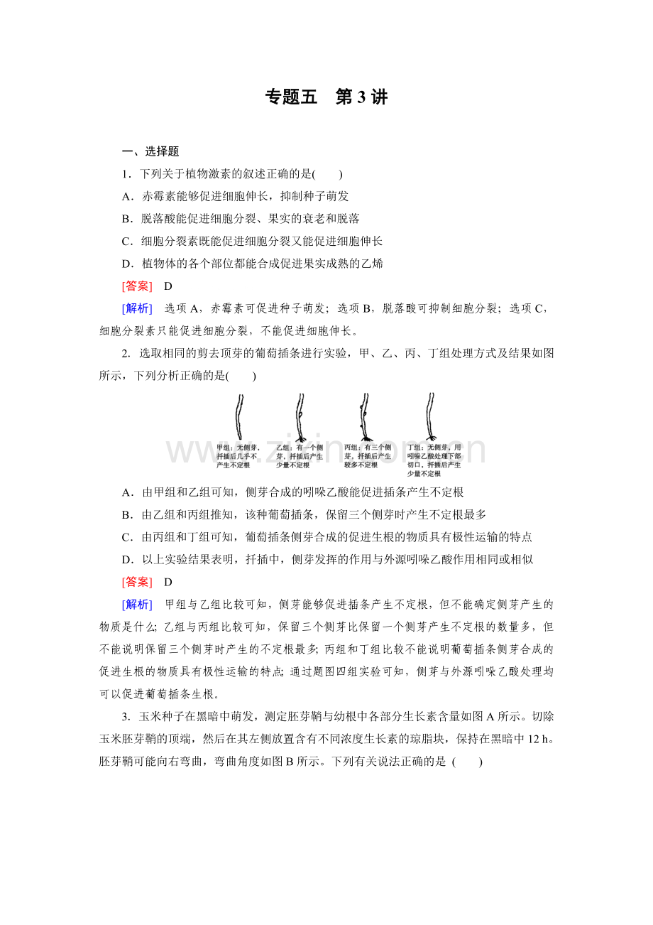专题5 第3讲.doc_第1页