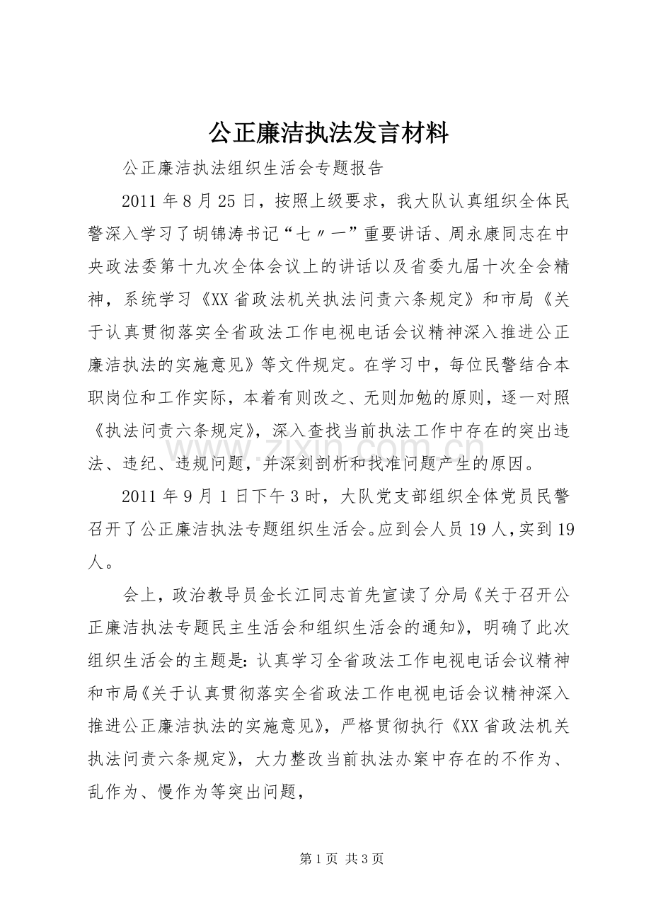 公正廉洁执法发言材料.docx_第1页
