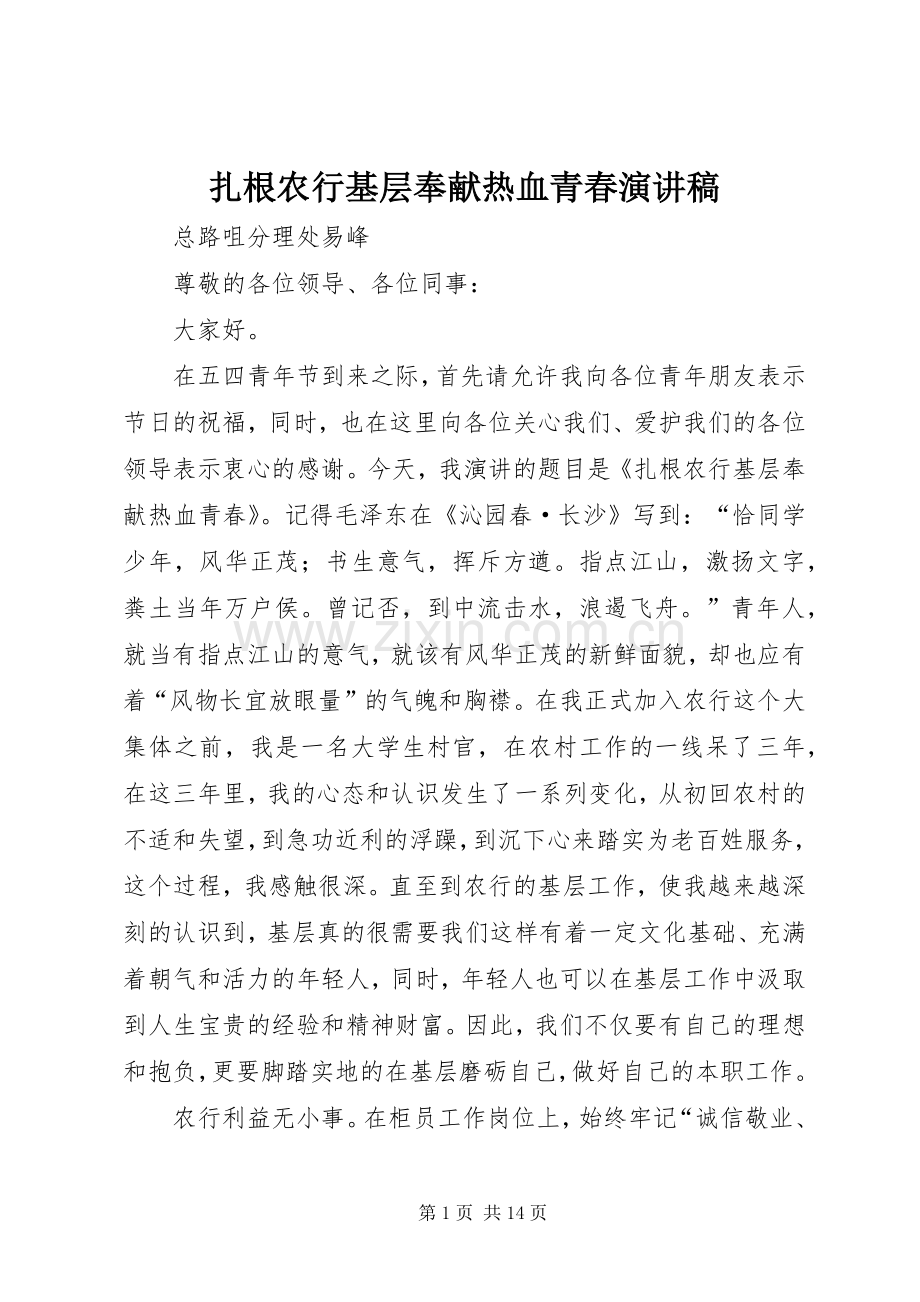 扎根农行基层奉献热血青春演讲稿.docx_第1页