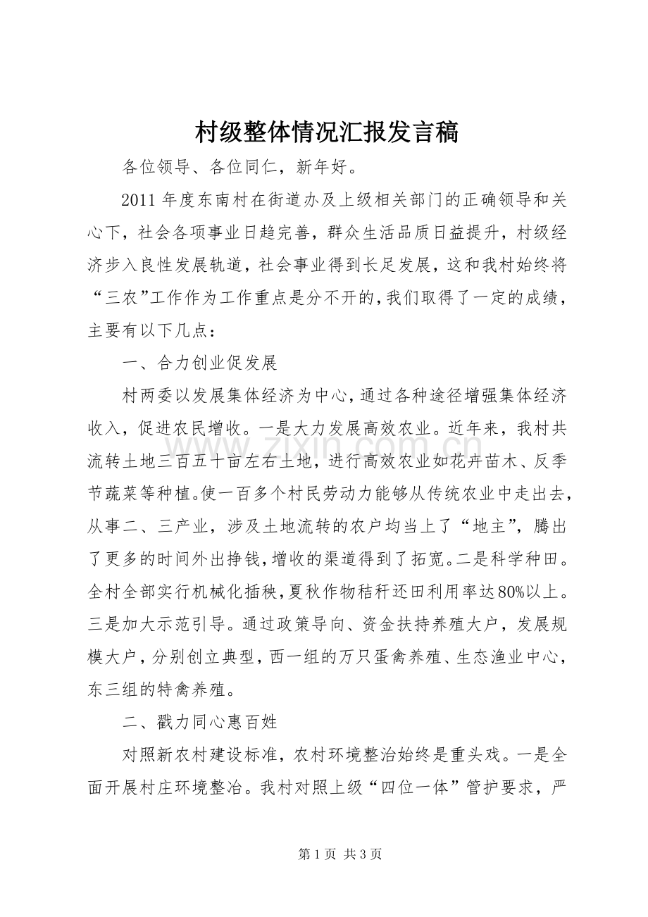 村级整体情况汇报发言稿.docx_第1页