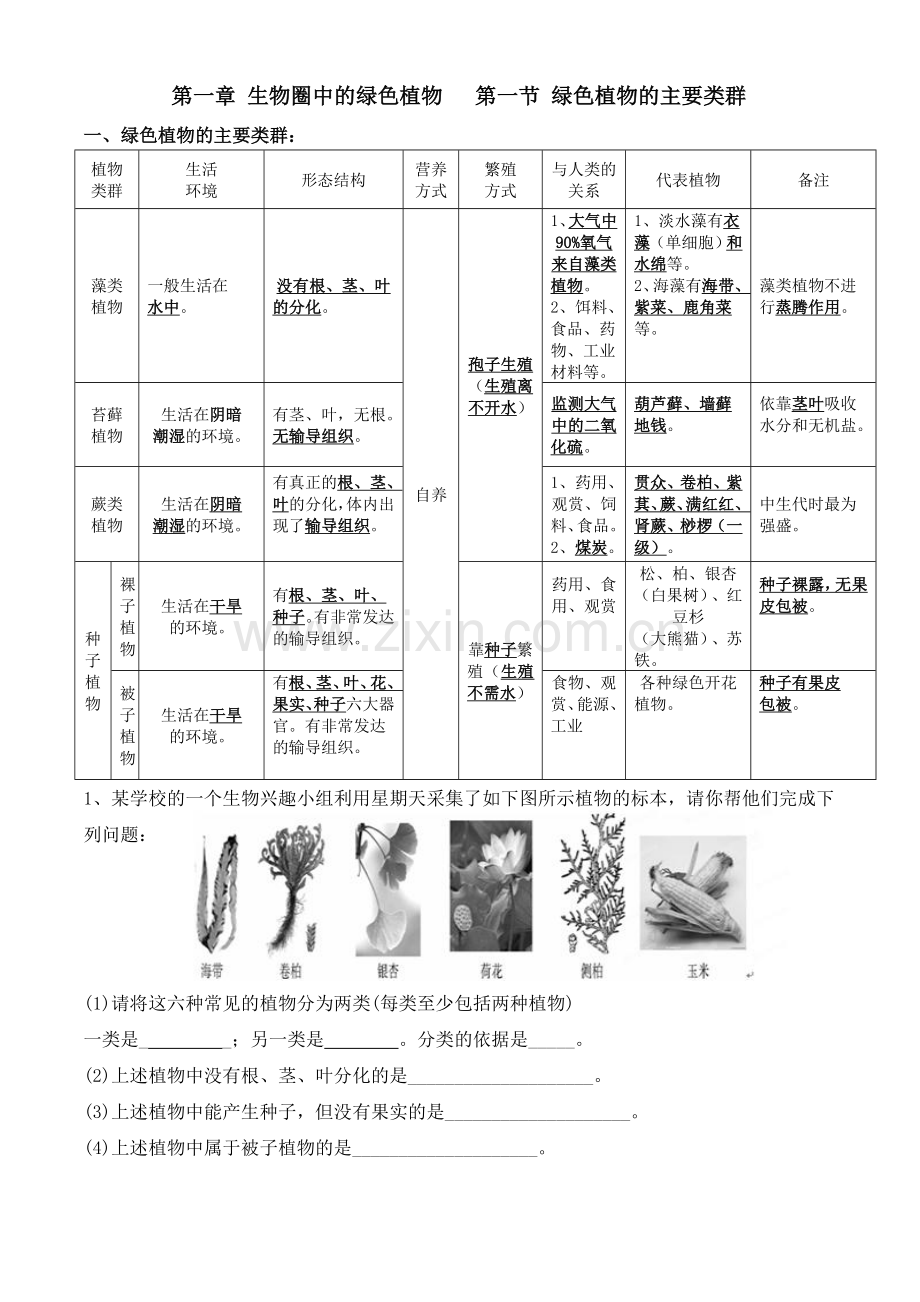 生物圈中的绿色植物复习知识点.doc_第1页