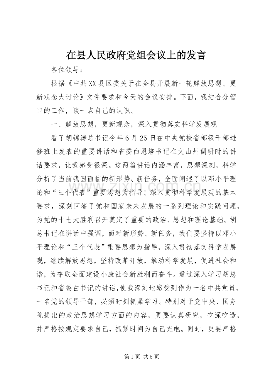 在县人民政府党组会议上的发言.docx_第1页