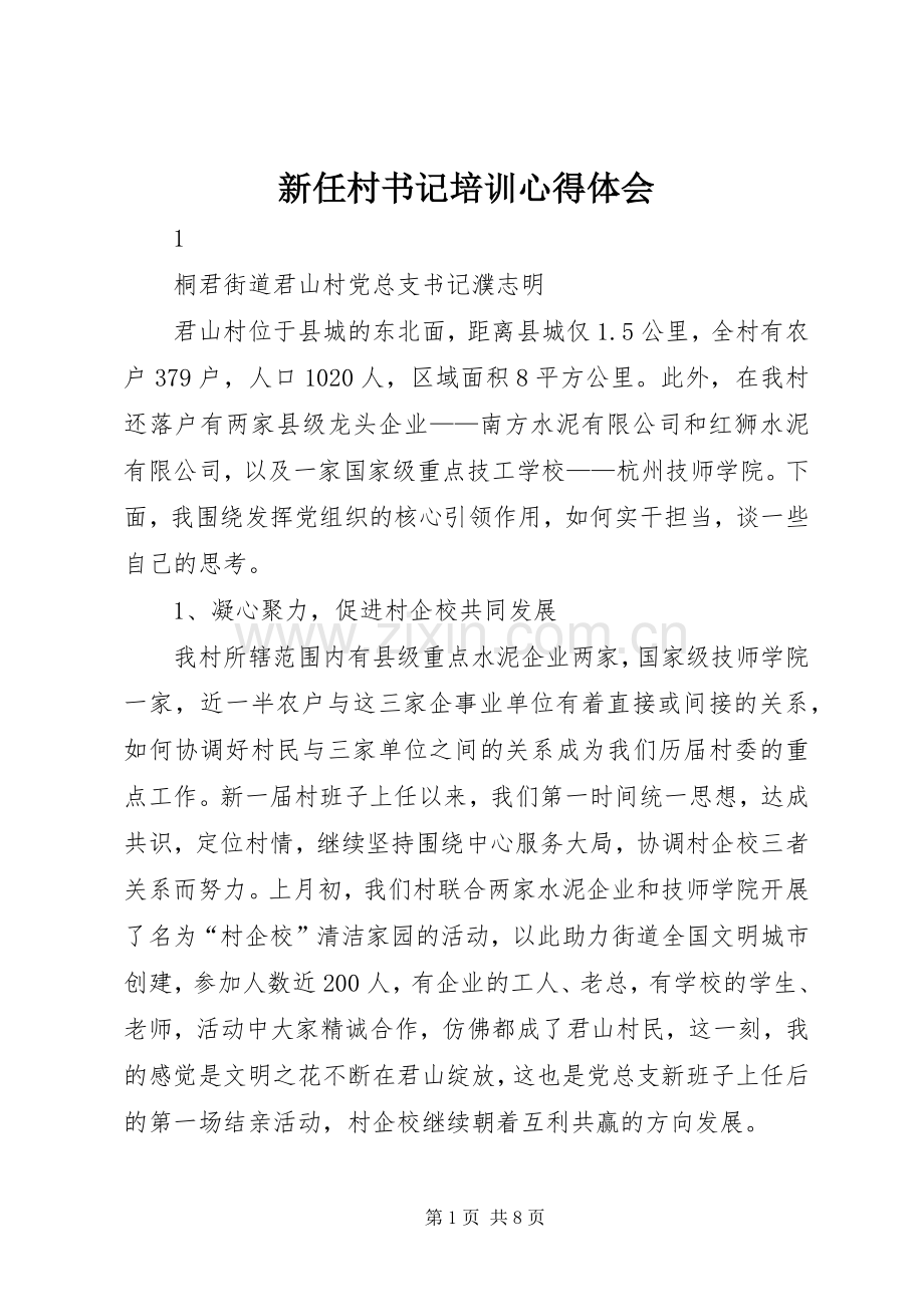 新任村书记培训心得体会.docx_第1页
