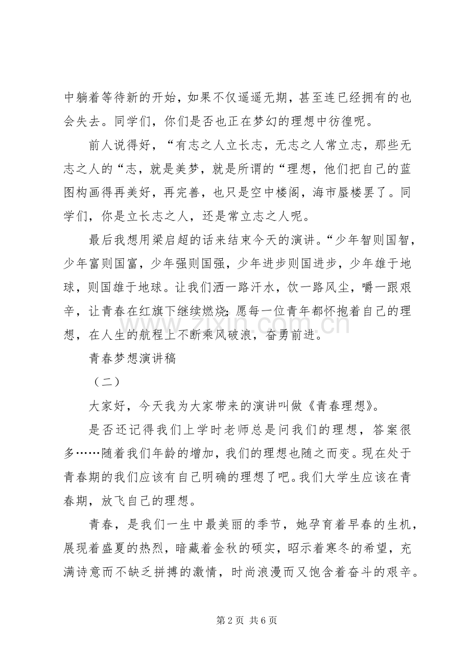 关于青春理想的演讲稿范文.docx_第2页