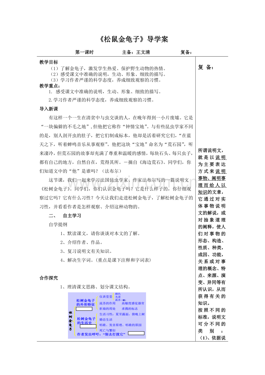 松鼠金龟子.doc_第1页