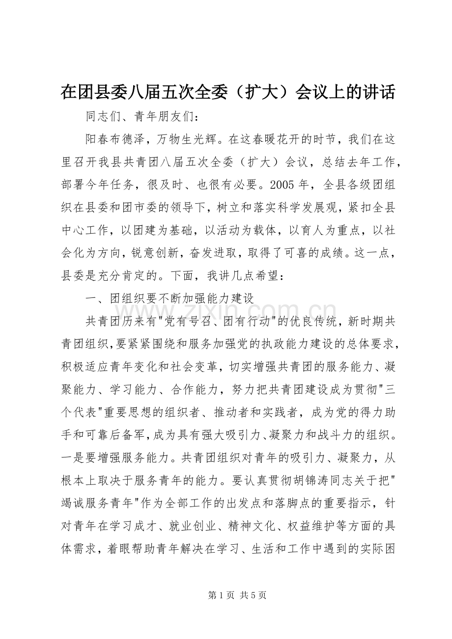 在团县委八届五次全委（扩大）会议上的讲话.docx_第1页
