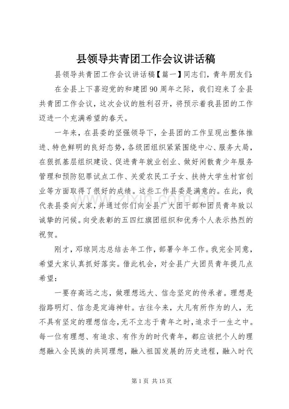 县领导共青团工作会议讲话稿.docx_第1页