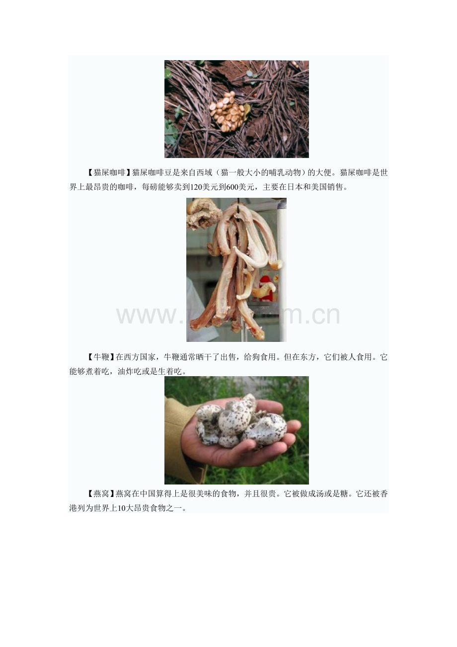 世界恶心的食物.doc_第1页