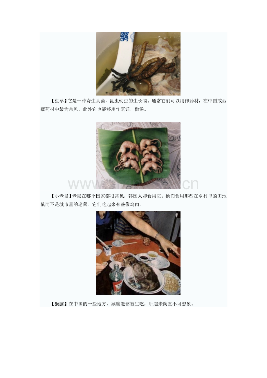 世界恶心的食物.doc_第2页