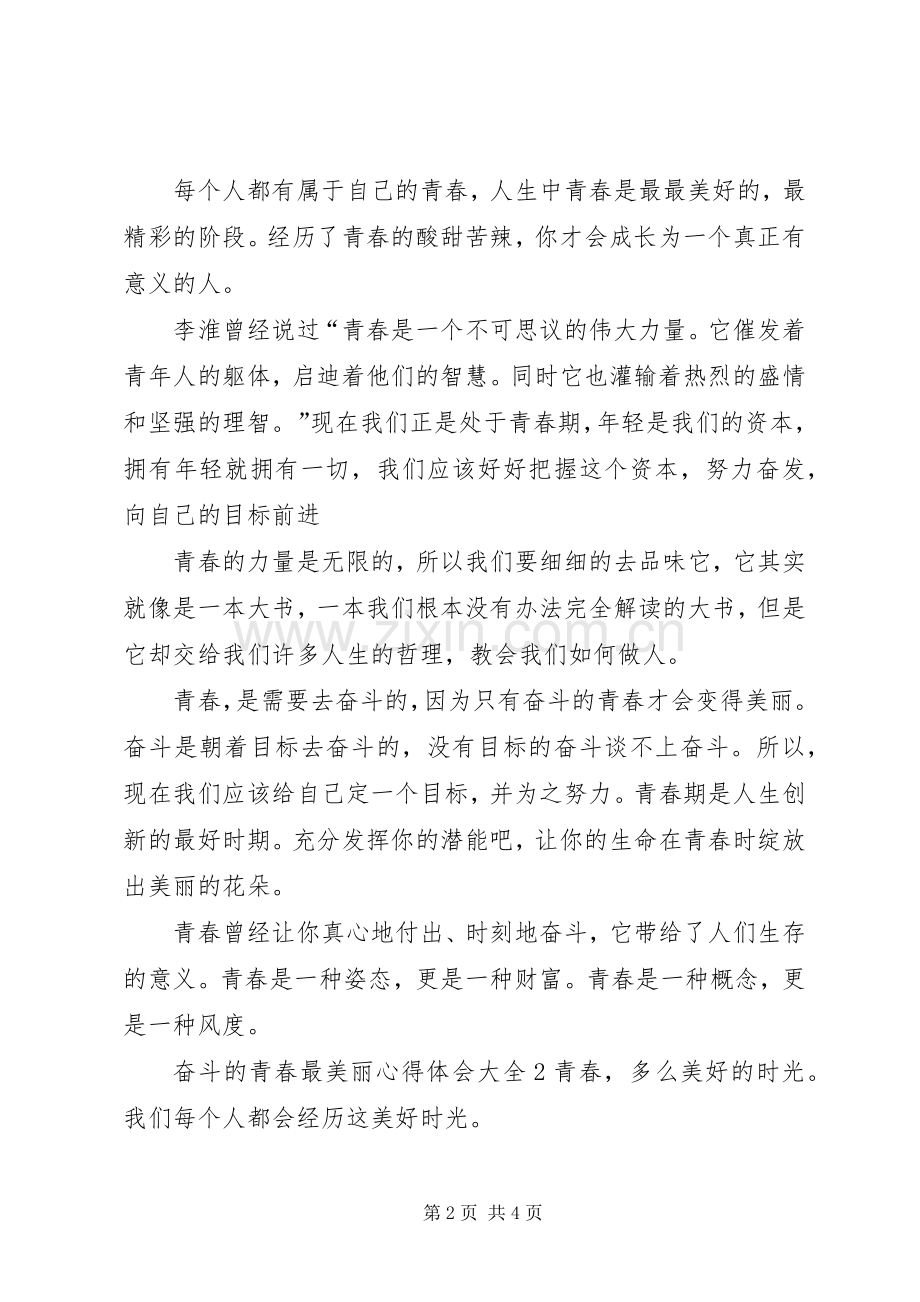 奋斗的青春最美丽心得体会多篇.docx_第2页
