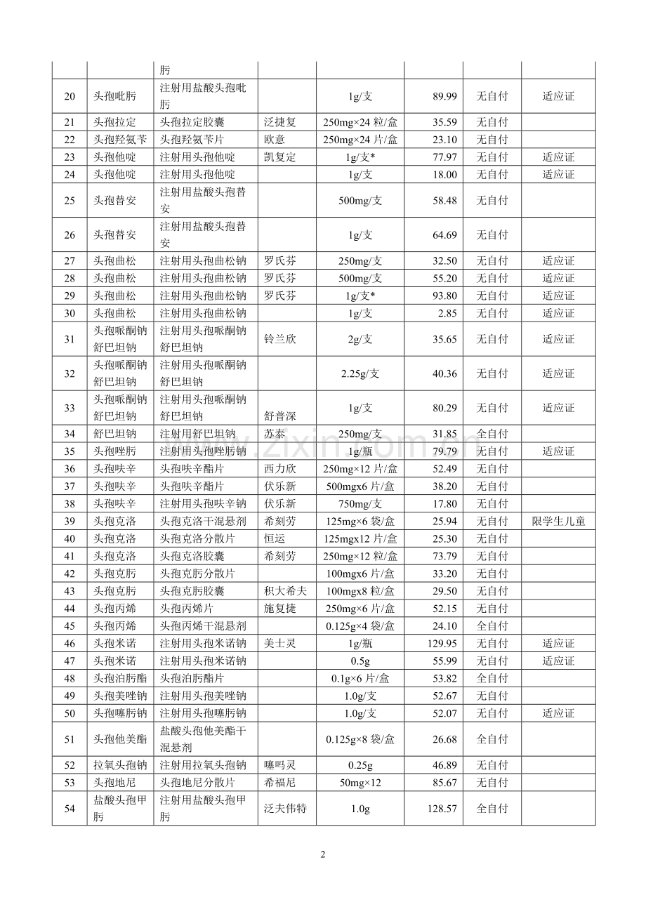 中日友好医院基本药物处方集目录.doc_第2页