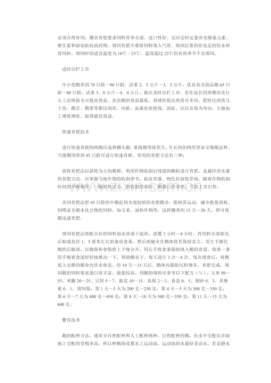 养鹅效益好 方法须得当.doc_第2页