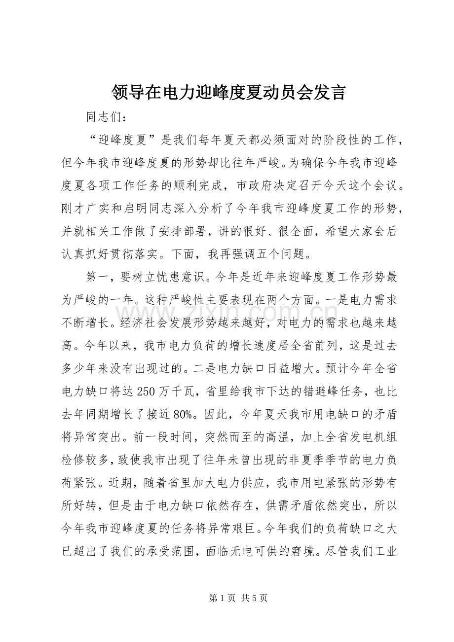 领导在电力迎峰度夏动员会发言.docx_第1页