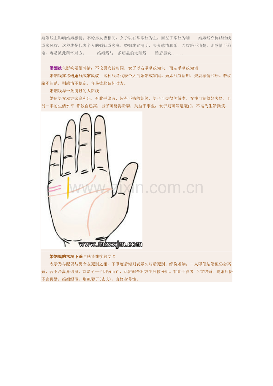 掌纹看相2.doc_第1页