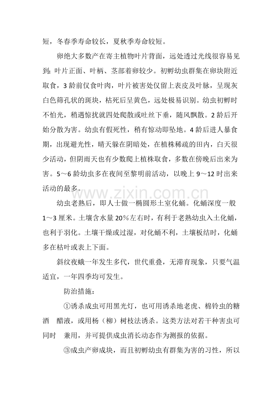 如何应对大黄的各种病虫害疾病.doc_第2页