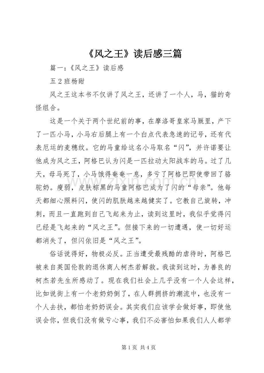 《风之王》读后感三篇.docx_第1页